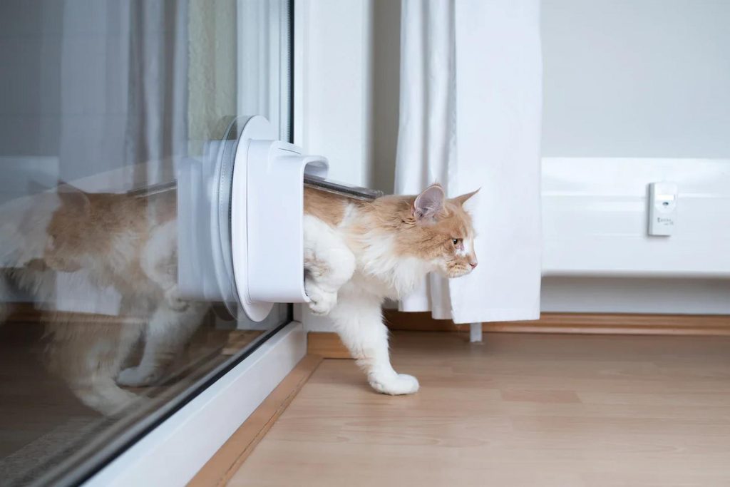 Top Tips for Seamless Cat Flap Installation in Any Door or Wall