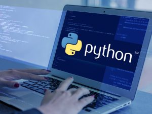 Python Staff Augmentation