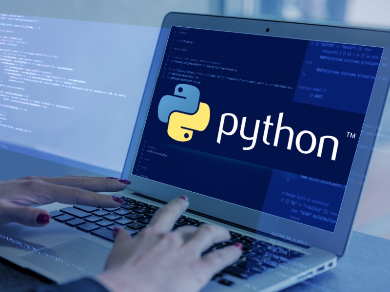 Python Staff Augmentation