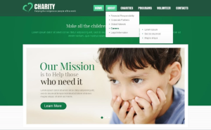 Top Premium Charity Website Templates for Fundraising
