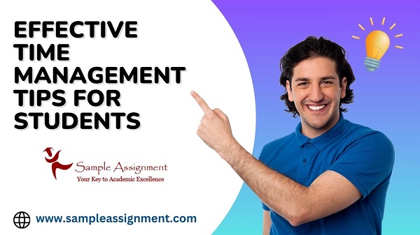 assignment help experts