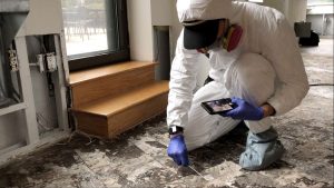 Signs Your Home Needs Mold Removal Services