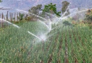drip irrigation