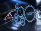 Financial Statements Audit