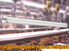LED Tri-Proof Light