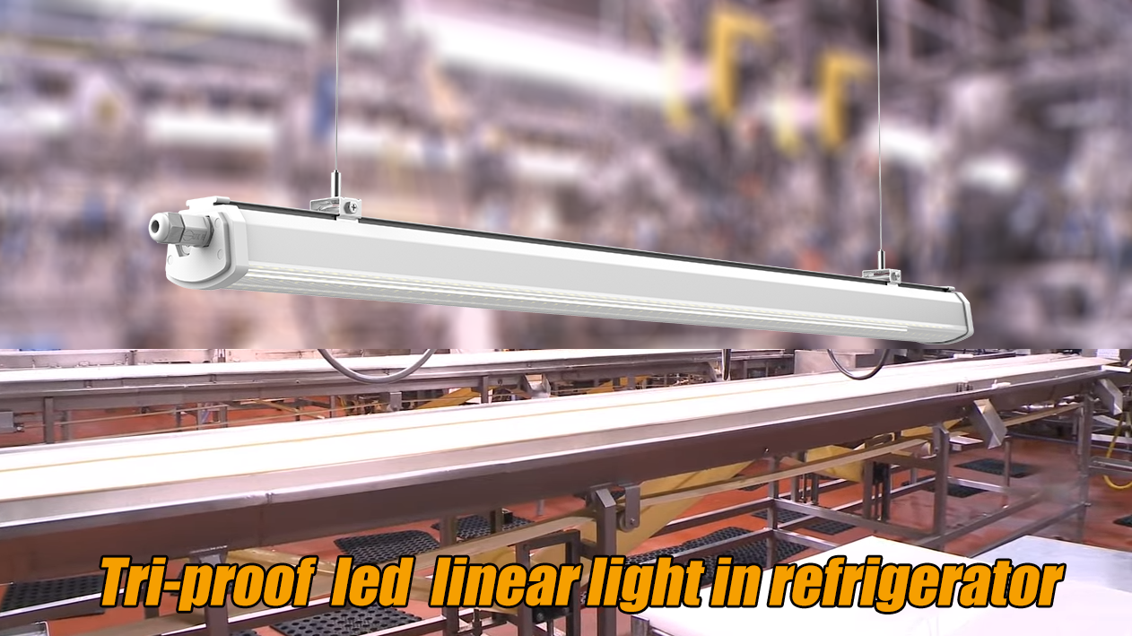 LED Tri-Proof Light
