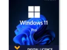 window 11