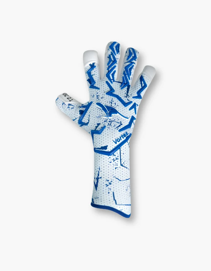 goalkeeper gloves