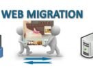 Website Migration Service