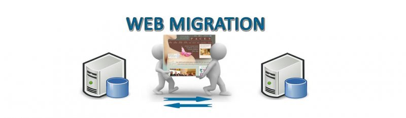 Website Migration Service